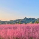 가학농장 이미지