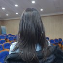 조으닝헤어 | 배곧 조으닝헤어 <매트브라운> 염색 후기(100%내돈내산)
