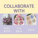 🌿 미네뜨플로라 × 디어플로르x몽중향 콜라보 이벤트
