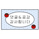 글라스미 렌즈미 안경콘택트 이미지