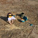 보개원삼로 | 아이와 함께 가기 좋은 용인 단풍숲캠핑장 토끼 7번 사이트 후기 (시설/놀이터/장단점)