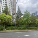 가로수주유소 이미지