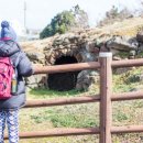 신평리 도요지 이미지