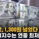 [칼럼]고환율·고금리·고물가 경제위기+발목잡는 민주당, 피해자는 국민 이미지