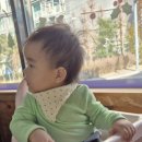 삼봉약국 이미지