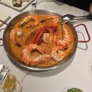 리치맨박 | 홍콩&amp;마카오 3박 4일 여행 후기[차지티/헤이티/루비패스/마카오타워/HZMB 버스]