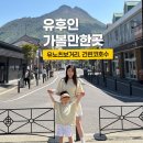 유후인 여행코스 추천 ㅣ 유후인역 포토스팟부터 유노츠보거리 플로랄빌리지 긴린코호수까지 다녀온 후기