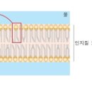 인스타짐 이미지