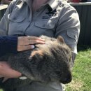 월드농장 이미지