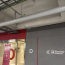 도미니클라바 이미지