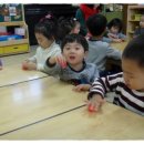 동그르르 Daum카페