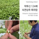 주식회사나누리농원 | 첨가물 없이 안전한 취침을 위한 국내산 제품 타트체리 흑하랑상추 감태 대추