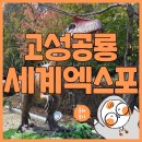 안경맨통영 | 경남고성공룡세계엑스포 훔쳐보기