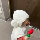 서신동-08(베스킨라빈스 앞) | 이 계절이 왜 이렇게 따뜻한가 했더니