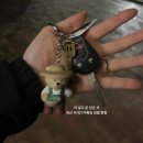 드림자동차서비스 | 미국 F2 비자 홀더의 보험들 - 1 | 차 보험, Non-owners Insurance, GEICO, 견인 서비스, 긴급 출동 후기