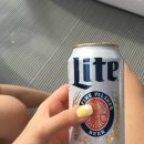 케이 돌핀크루즈