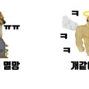 비기너 이미지