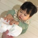 (주)기고 | 팸퍼스 2026 터치 오브 네이처 썸머팬티 4단계, 10개월 남아 여름기저귀 사용후기