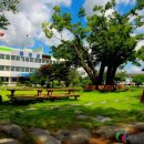 곡성군립노인전문병원 이미지