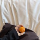 TWIN 복싱 | 칭다오 MGM 호텔 호캉스 후기; 커넥티드룸, 수영장