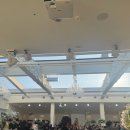 만연홀 | 웨딩홀 #8. 명동 라루체 그레이스홀(밝은 홀, 야외웨딩 느낌) 소개 _ '26년 3월 리뉴얼 기준