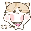 반려동물수제간식만들기 이미지