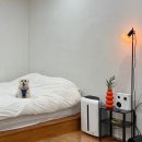 부여애견 | 부여 애견동반펜션 감동펜션, 개별마당 자쿠지까지 프라이빗 숙소 후기