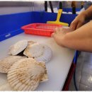 구로-구로-구로-862 이미지