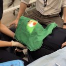 바른치과기공소 이미지