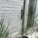 수원-0768 이미지