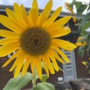 옥산가한의원 이미지