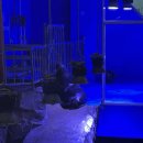 생활-생물-생태 프로그램(하반기) | 시흥 아이랑 가볼만한 곳｜해양생태과학관 후기, 비 오는 날 실내 체험