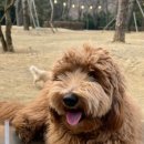 파인(143) 이미지