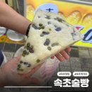 속초막걸리술빵술빵 | 속초 중앙시장 맛집 속초술빵, 촉촉하고 폭신한 막걸리술빵 먹거리 후기