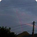 고향의 여름 이미지