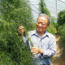 화순백아산농장