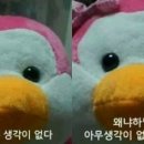 놀아펜션 이미지