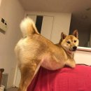 투데이힐링