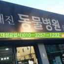 조재진 동물병원 이미지