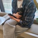 구지동물병원 이미지