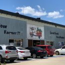 교동초등 이미지