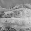 양천종합동물병원 이미지