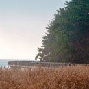 해찬솔길 이미지