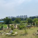 밀앤보리 이미지