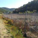 구산면418 네이버블로그
