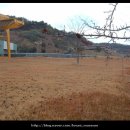 창원 덕천리 유적 이미지