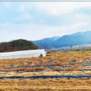 전망이있는곳 이미지