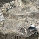 유토피아를 향하여 이미지