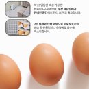 영양-4)영양군 아리수 앞 | 바쁜 하루의 시작 맥반석 구운계란 60구 파손보상 든든한 영양 간식 후기