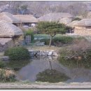 순천-72호 이미지